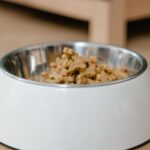 De kwaliteit van dierenvoeding - wat je moet weten