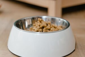 De kwaliteit van dierenvoeding - wat je moet weten