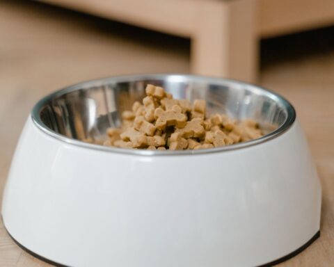 De kwaliteit van dierenvoeding - wat je moet weten